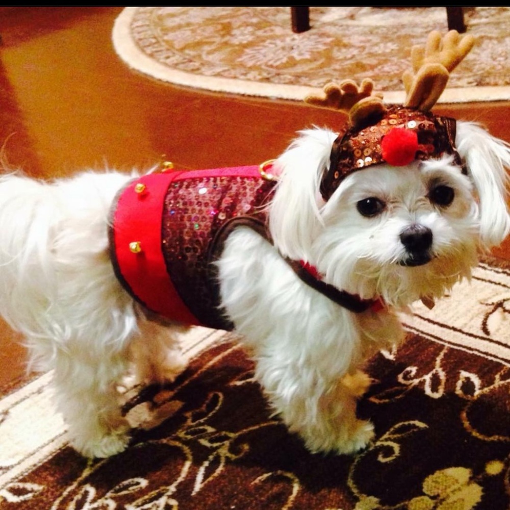 Costumes - Picture 4 of 8